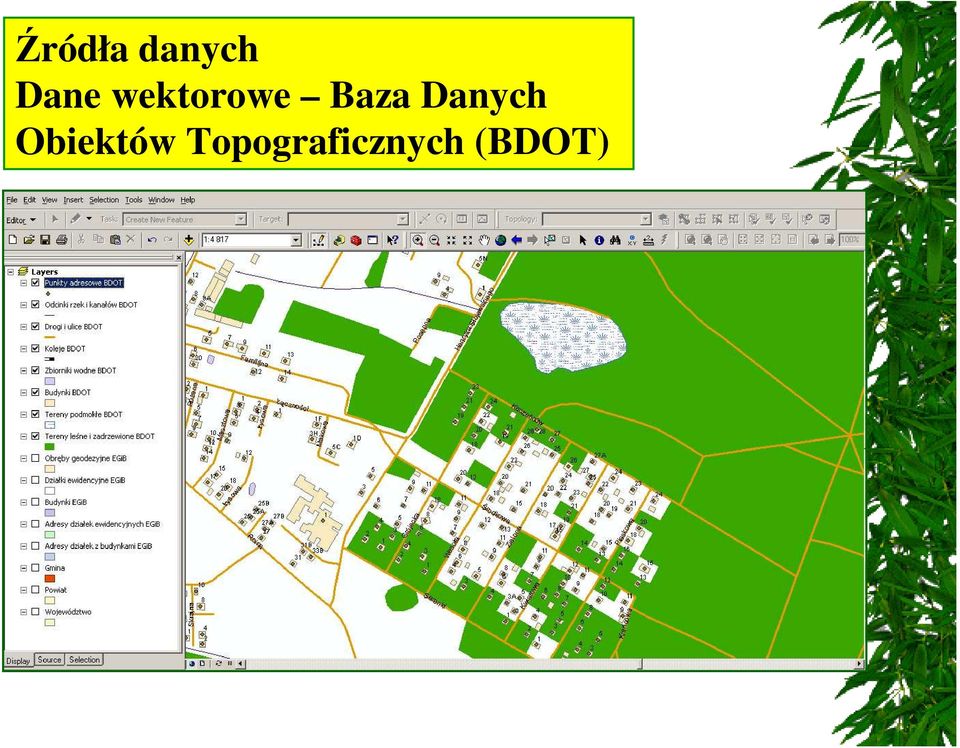 Baza Danych