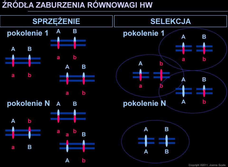 SELEKCJ a a a pokolenie N