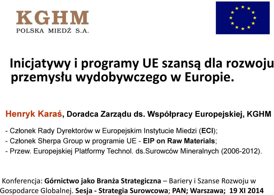 programie UE - EIP on Raw Materials; - Przew. Europejskiej Platformy Technol. ds.surowców Mineralnych (2006-2012).