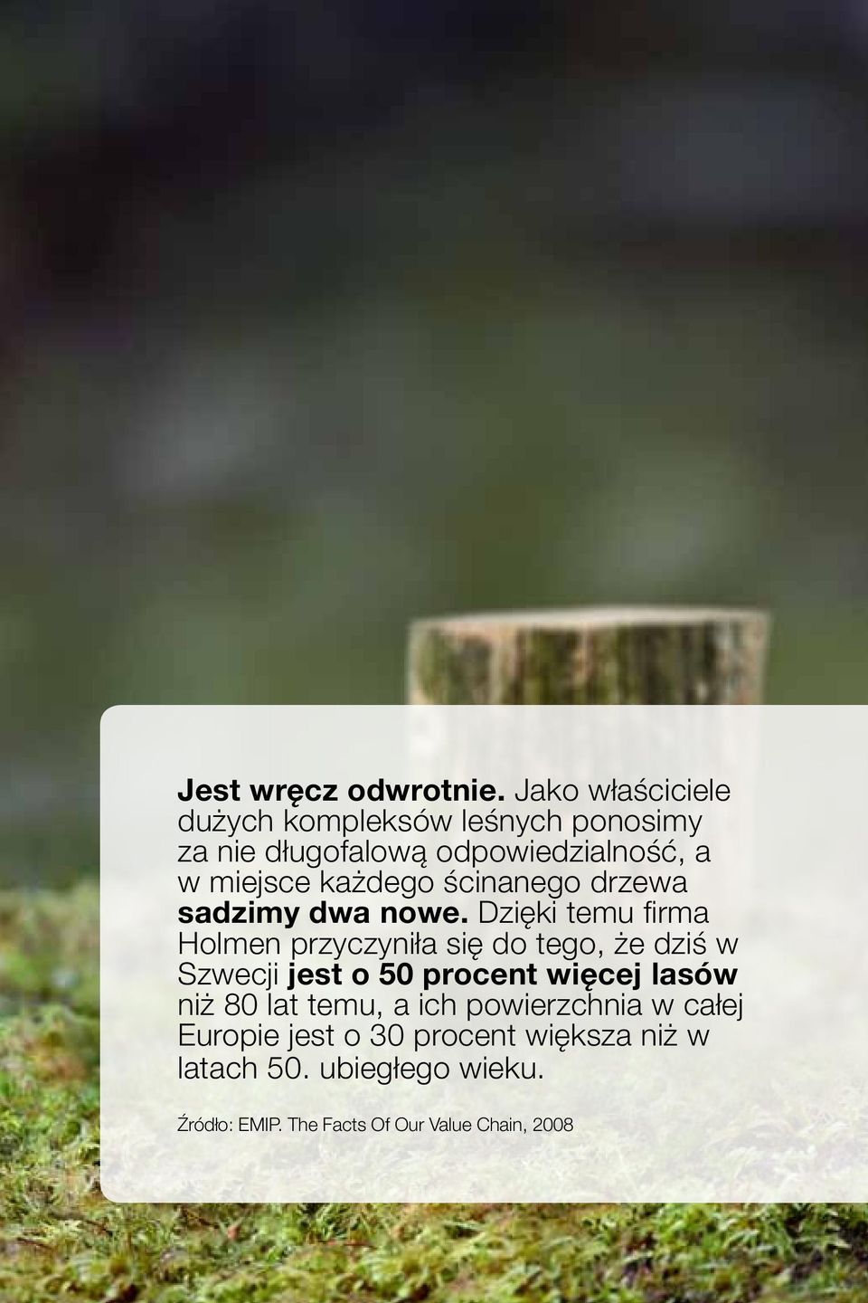 każdego ścinanego drzewa sadzimy dwa nowe.