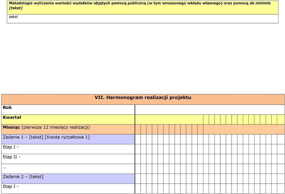 Harmonogram realizacji projektu Rok Kwartał Miesiąc (pierwsze 12 miesięcy