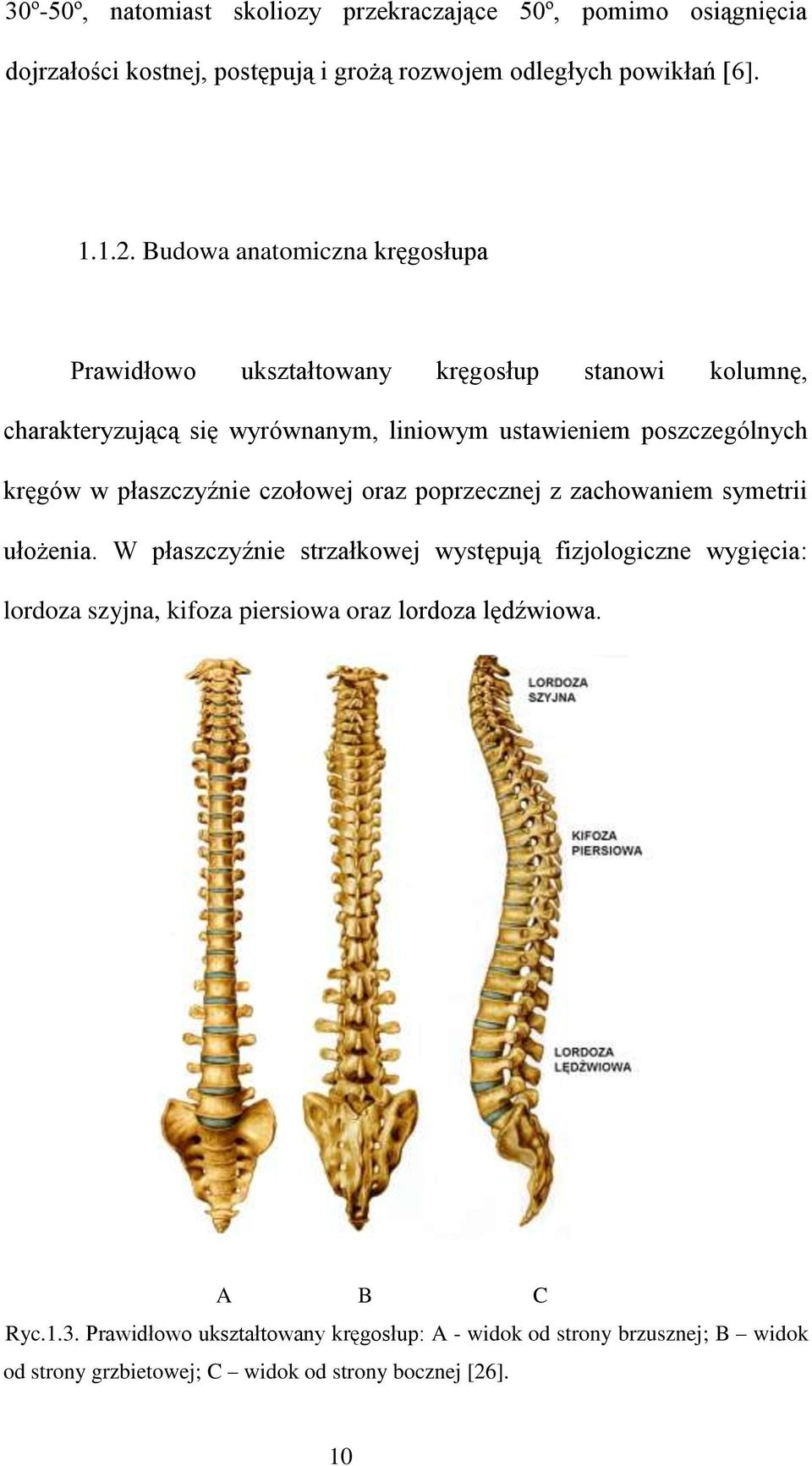 płaszczyźnie czołowej oraz poprzecznej z zachowaniem symetrii ułożenia.