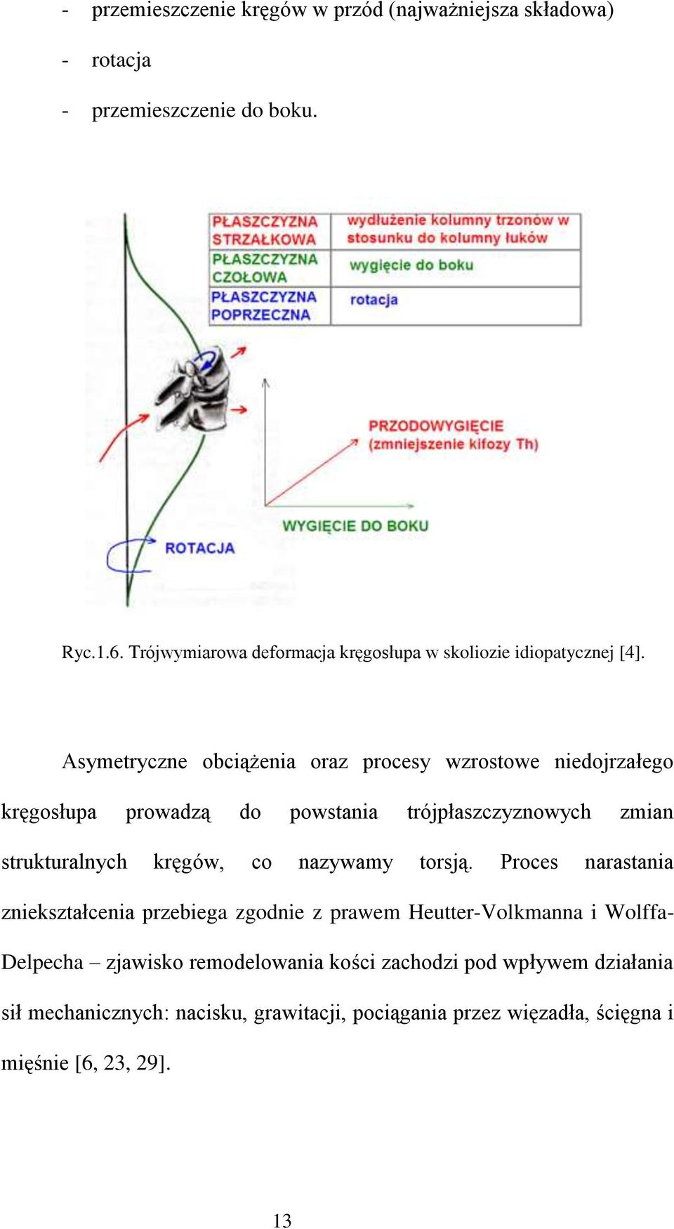 Asymetryczne obciążenia oraz procesy wzrostowe niedojrzałego kręgosłupa prowadzą do powstania trójpłaszczyznowych zmian strukturalnych kręgów, co