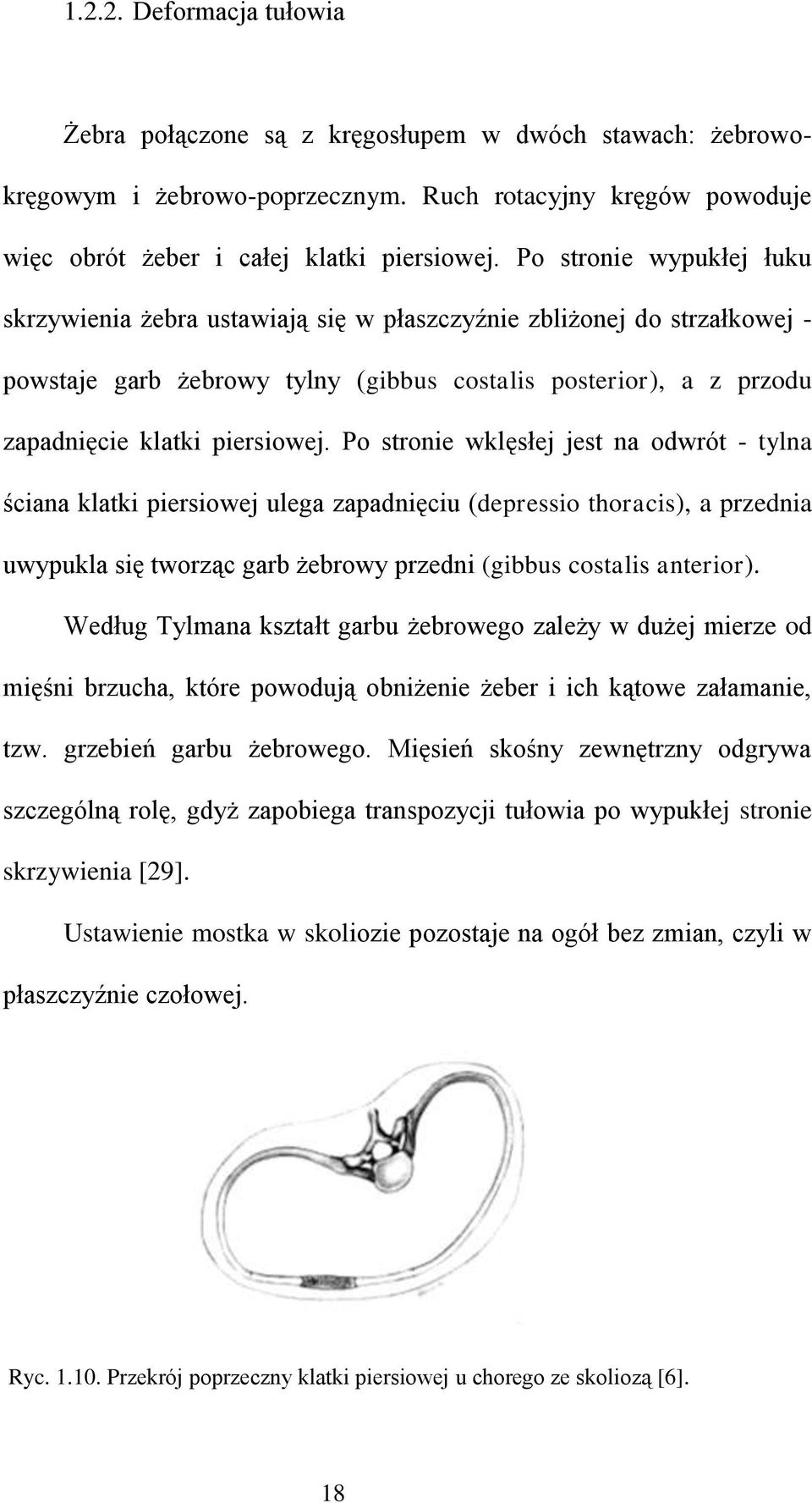 Po stronie wklęsłej jest na odwrót - tylna ściana klatki piersiowej ulega zapadnięciu (depressio thoracis), a przednia uwypukla się tworząc garb żebrowy przedni (gibbus costalis anterior).
