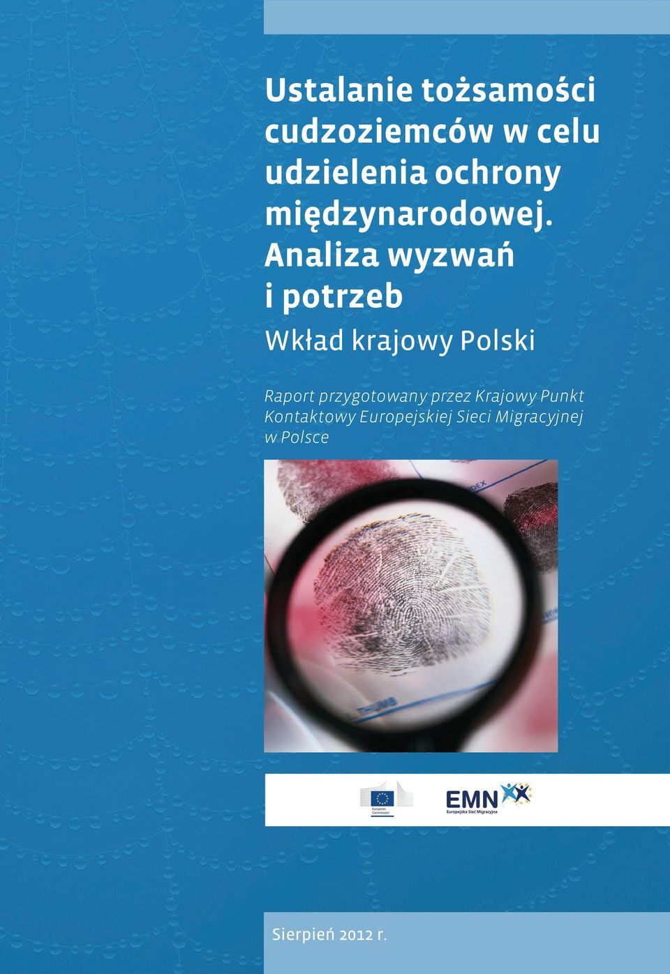 Analiza wyzwań i potrzeb Wkład krajowy Polski Raport