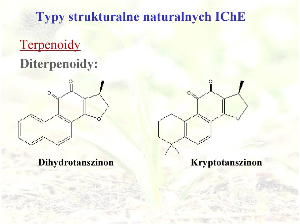 Terpenoidy