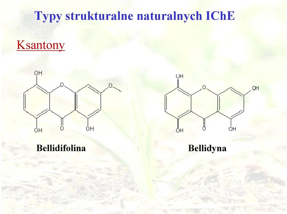 naturalnych IChE