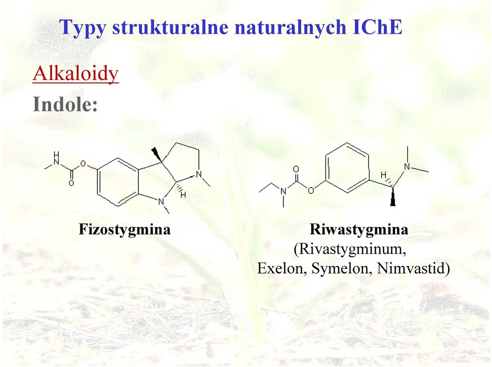 Fizostygmina Riwastygmina