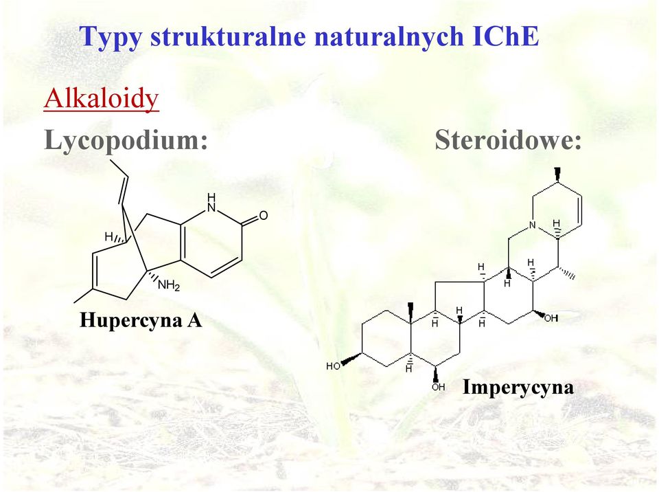 Alkaloidy Lycopodium: