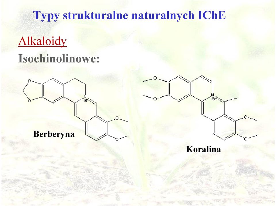 Alkaloidy