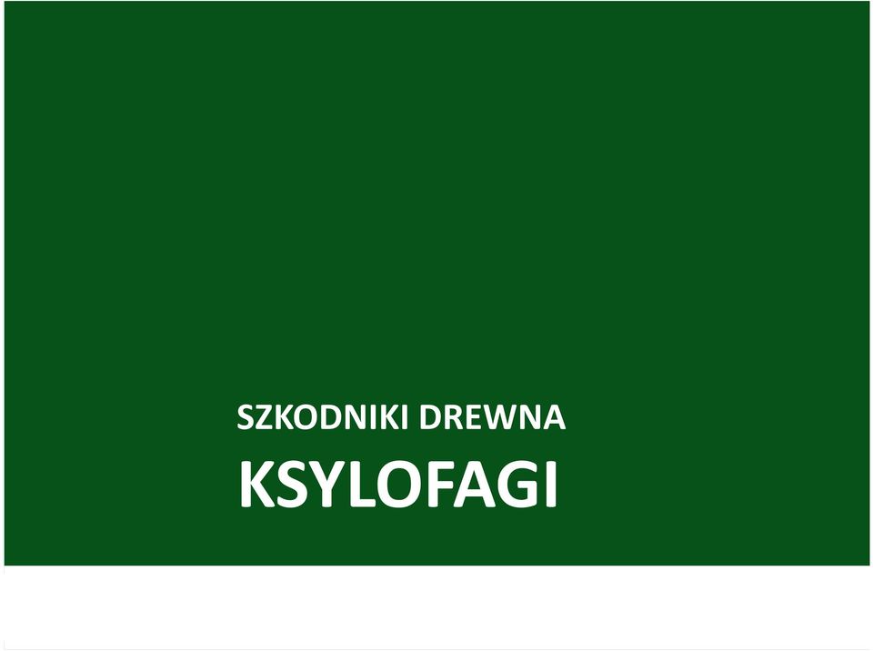 KSYLOFAGI