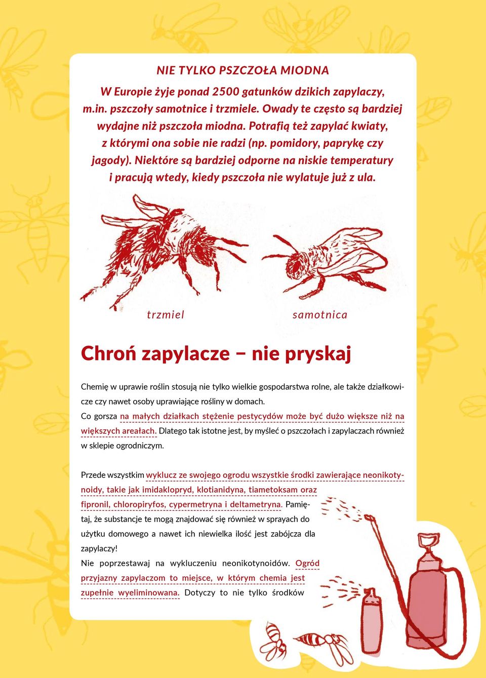 Niektóre są bardziej odporne na niskie temperatury i pracują wtedy, kiedy pszczoła nie wylatuje już z ula.