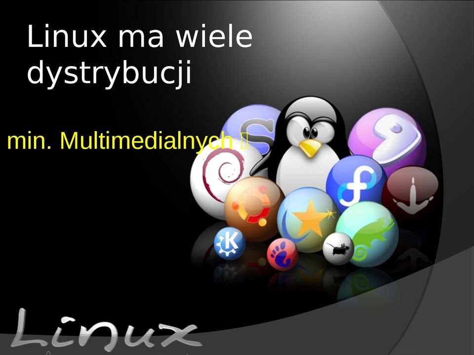 dystrybucji