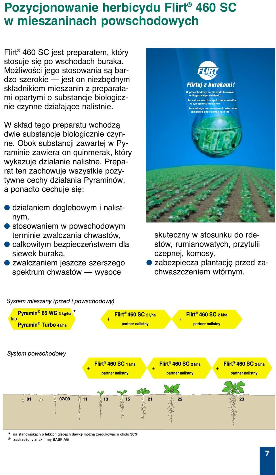 W sk ad tego preparatu wchodzà dwie substancje biologicznie czynne. Obok substancji zawartej w Pyraminie zawiera on quinmerak, który wykazuje dzia anie nalistne.