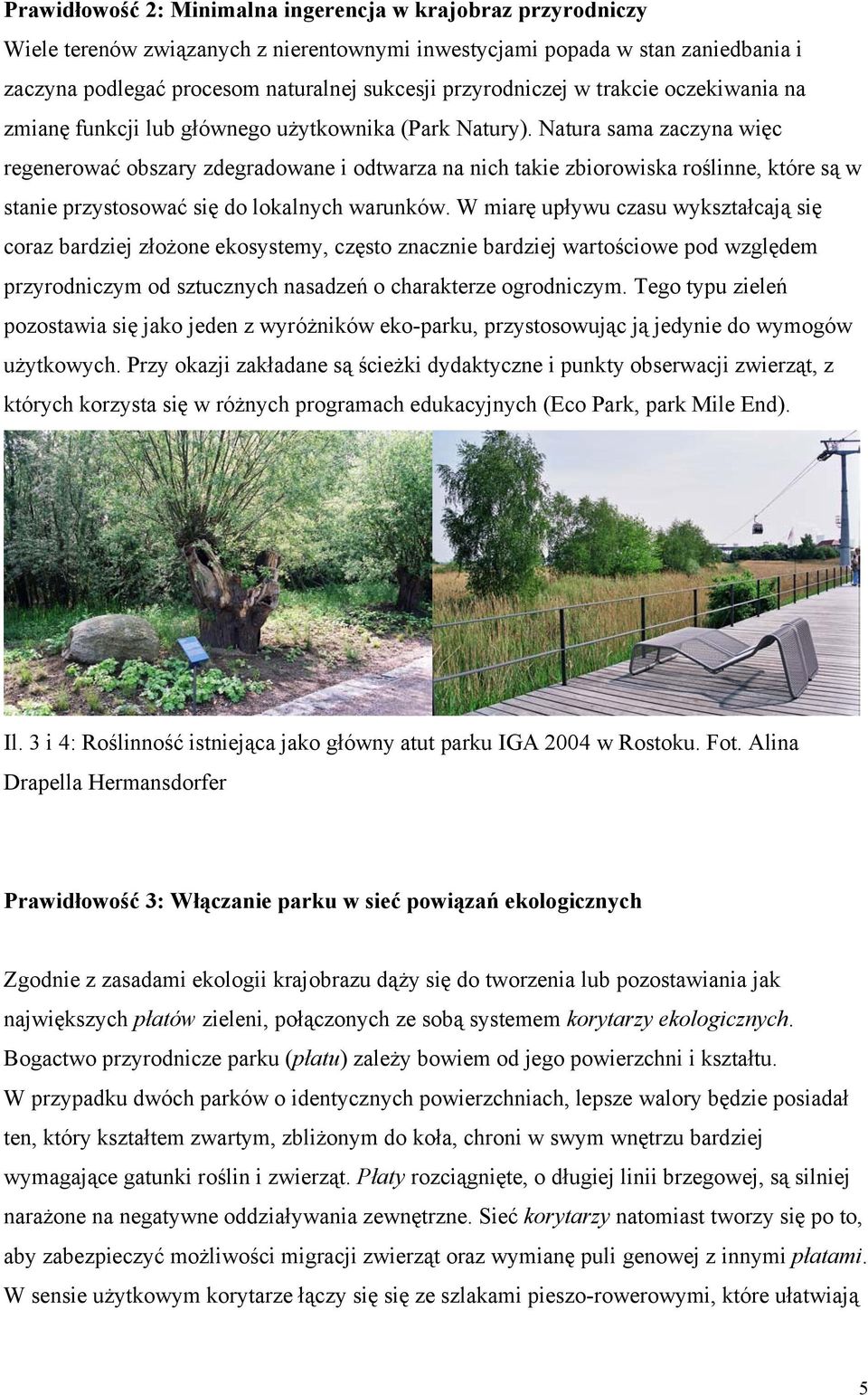 Natura sama zaczyna więc regenerować obszary zdegradowane i odtwarza na nich takie zbiorowiska roślinne, które są w stanie przystosować się do lokalnych warunków.