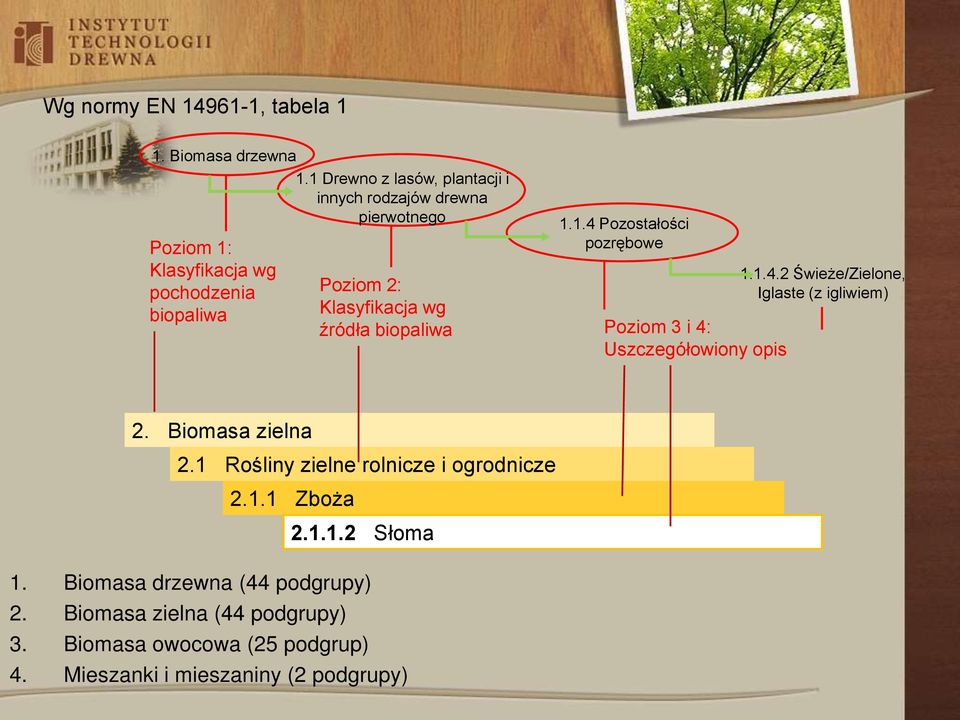 .4 Pozostałości pozrębowe Poziom 2: Klasyfikacja wg źródła biopaliwa Poziom 3 i 4: Uszczegółowiony opis..4.2 Świeże/Zielone, Iglaste (z igliwiem) 2.