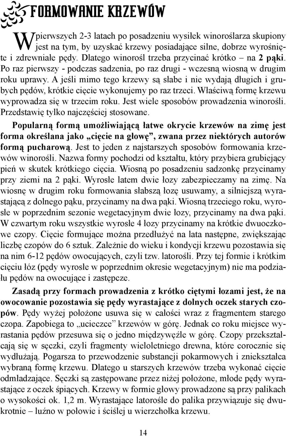 A jeśli mimo tego krzewy są słabe i nie wydają długich i grubych pędów, krótkie cięcie wykonujemy po raz trzeci. Właściwą formę krzewu wyprowadza się w trzecim roku.