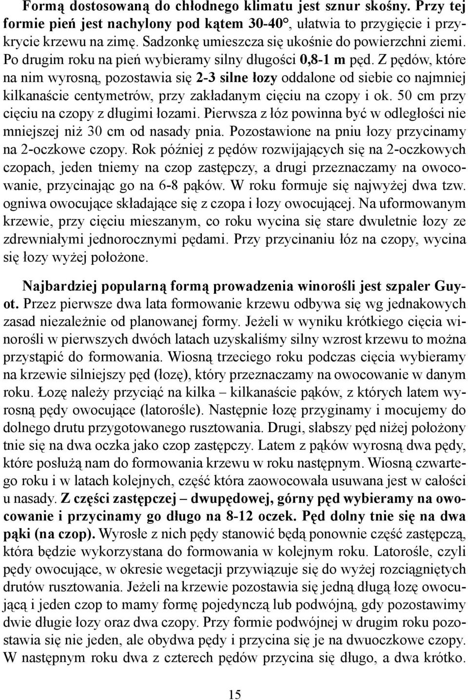 Z pędów, które na nim wyrosną, pozostawia się 2-3 silne łozy oddalone od siebie co najmniej kilkanaście centymetrów, przy zakładanym cięciu na czopy i ok. 50 cm przy cięciu na czopy z długimi łozami.