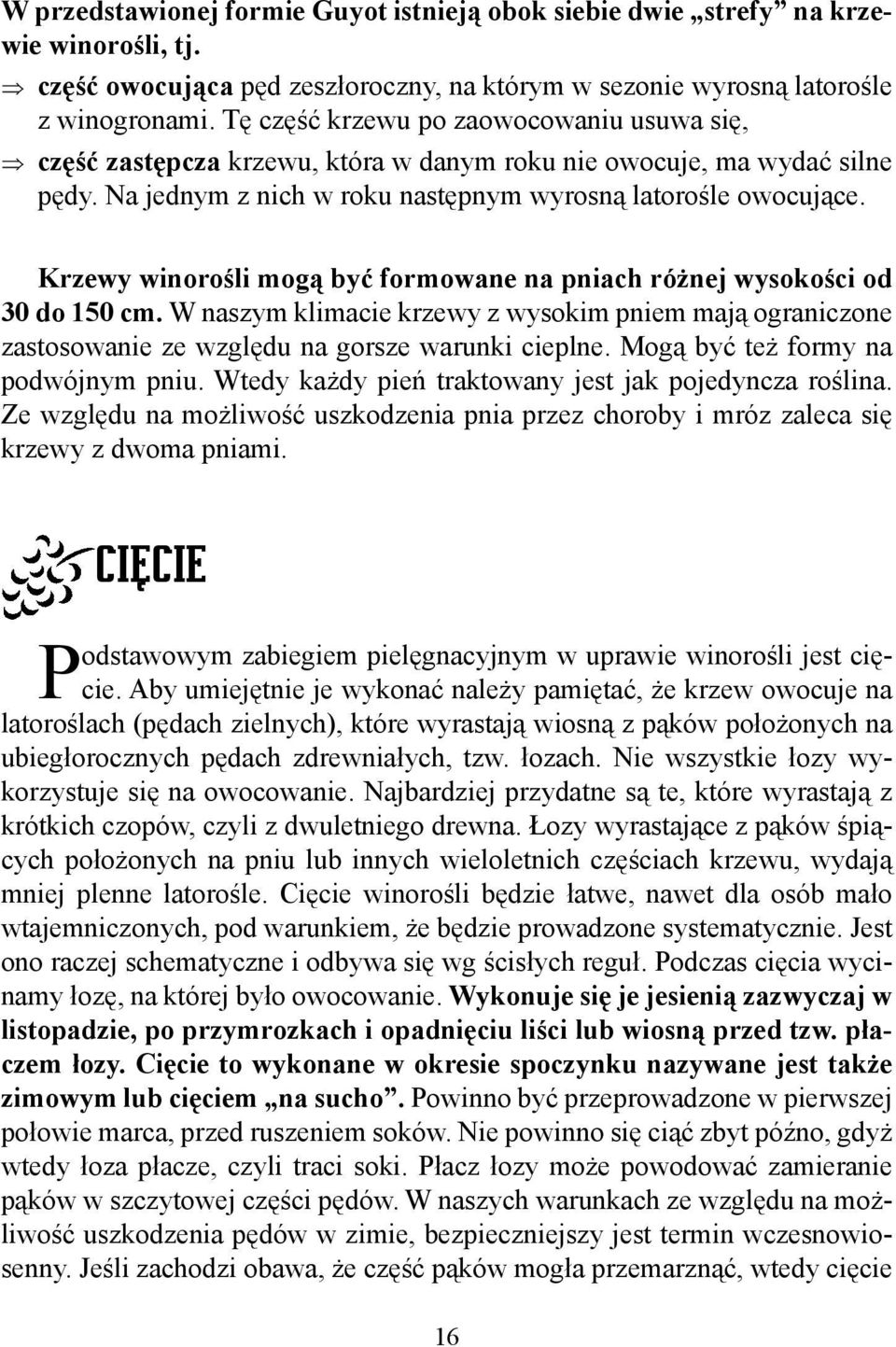 Krzewy winorośli mogą być formowane na pniach różnej wysokości od 30 do 150 cm. W naszym klimacie krzewy z wysokim pniem mają ograniczone zastosowanie ze względu na gorsze warunki cieplne.