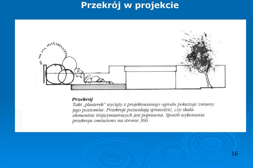 projekcie