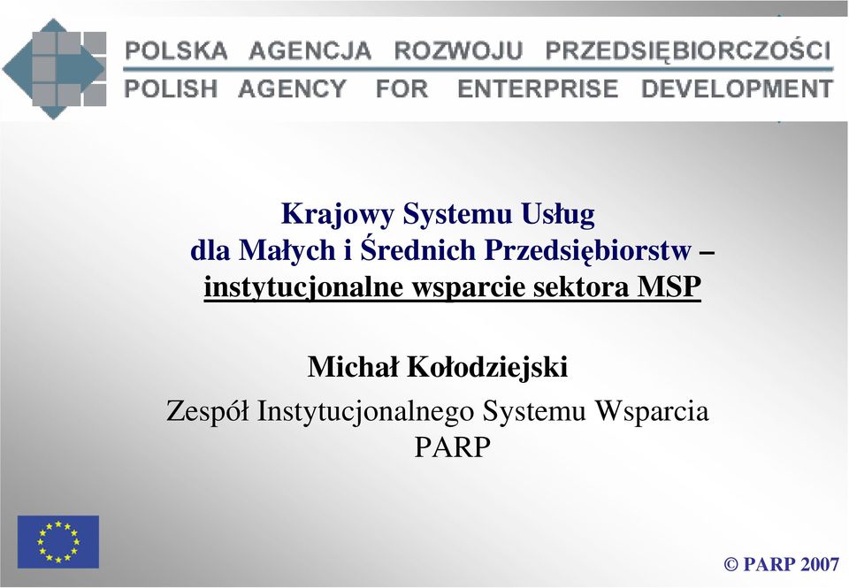 wsparcie sektora MSP Michał Kołodziejski