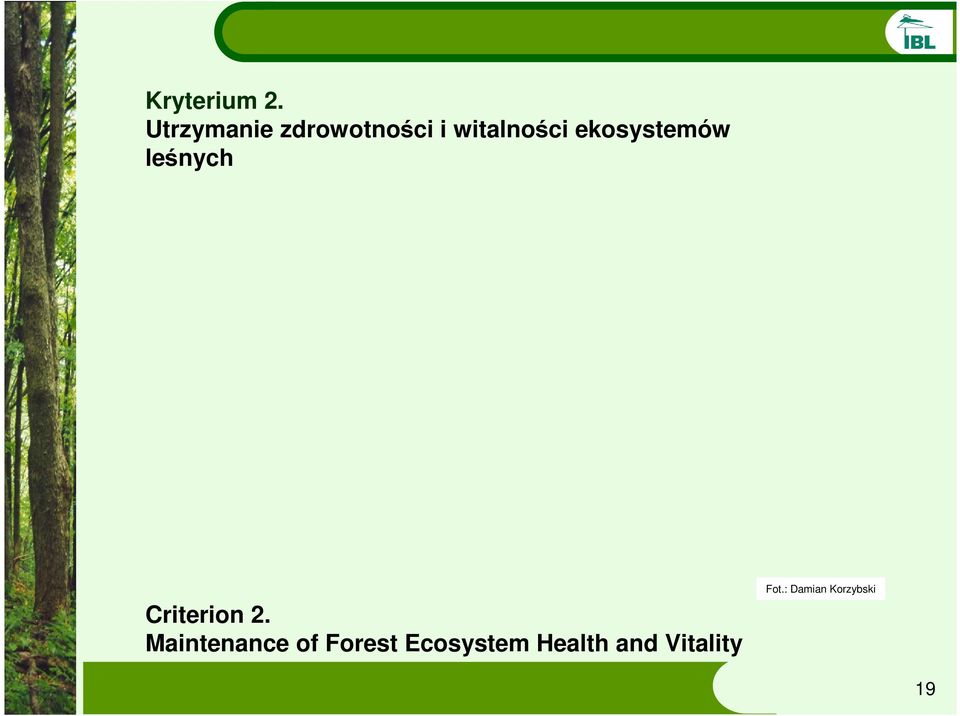 ekosystemów leśnych Criterion 2.