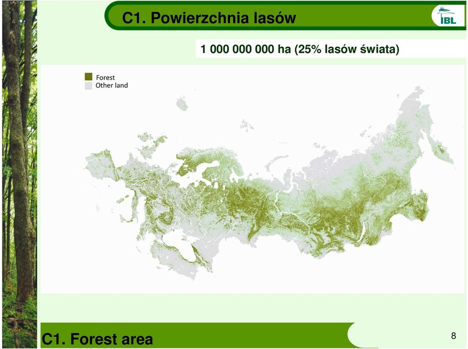 000 ha (25% lasów
