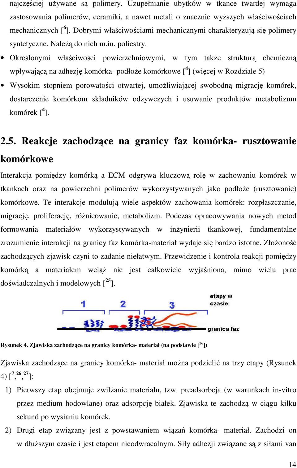Określonymi właściwości powierzchniowymi, w tym także strukturą chemiczną wpływającą na adhezję komórka- podłoże komórkowe [ 4 ] (więcej w Rozdziale 5) Wysokim stopniem porowatości otwartej,