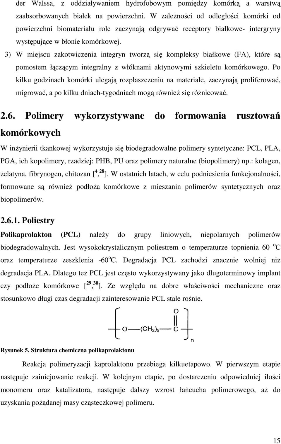 3) W miejscu zakotwiczenia integryn tworzą się kompleksy białkowe (FA), które są pomostem łączącym integralny z włóknami aktynowymi szkieletu komórkowego.