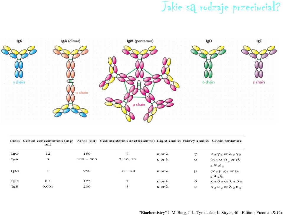 "Biochemistry" J. M.