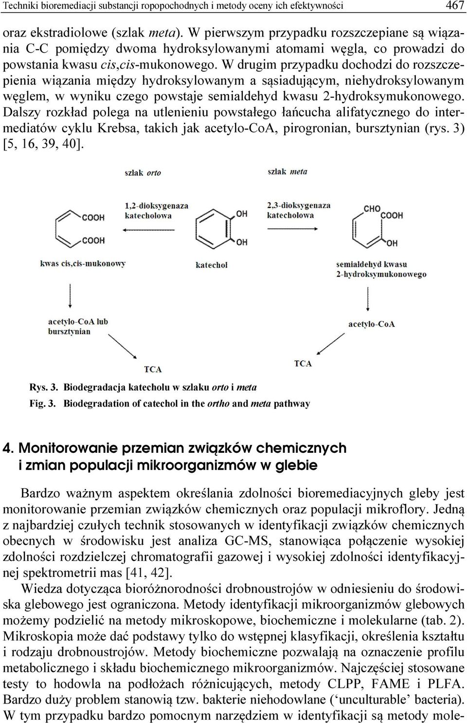 W drugim przypadku dochodzi do rozszczepienia wiązania między hydroksylowanym a sąsiadującym, niehydroksylowanym węglem, w wyniku czego powstaje semialdehyd kwasu 2-hydroksymukonowego.
