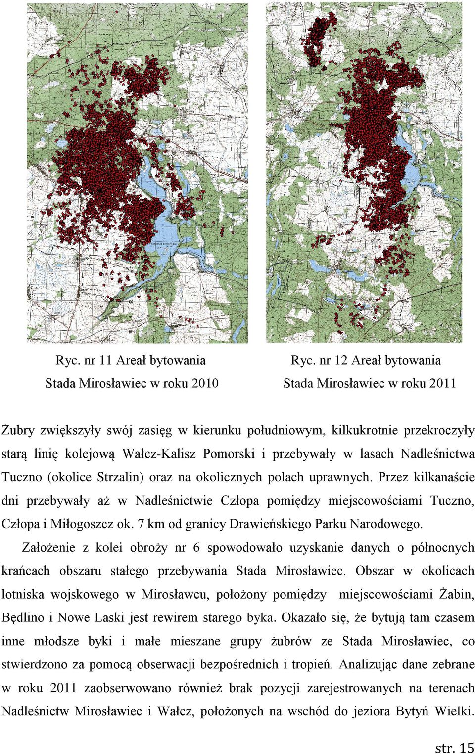 Pomorski i przebywały w lasach Nadleśnictwa Tuczno (okolice Strzalin) oraz na okolicznych polach uprawnych.