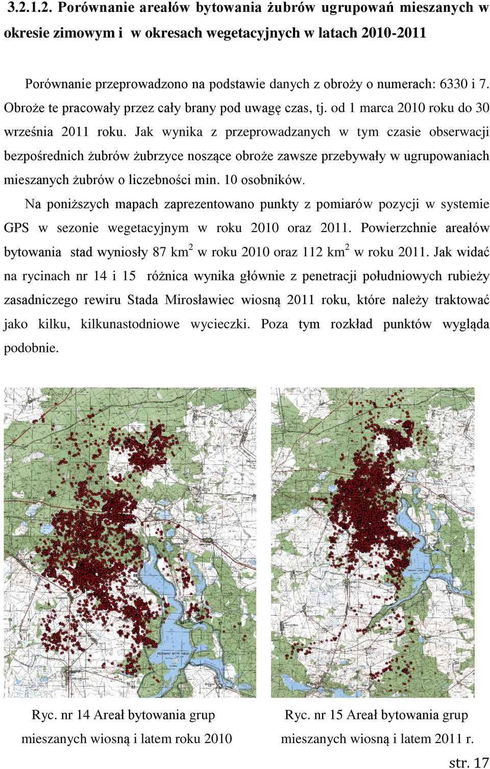 Jak wynika z przeprowadzanych w tym czasie obserwacji bezpośrednich żubrów żubrzyce noszące obroże zawsze przebywały w ugrupowaniach mieszanych żubrów o liczebności min. 10 osobników.