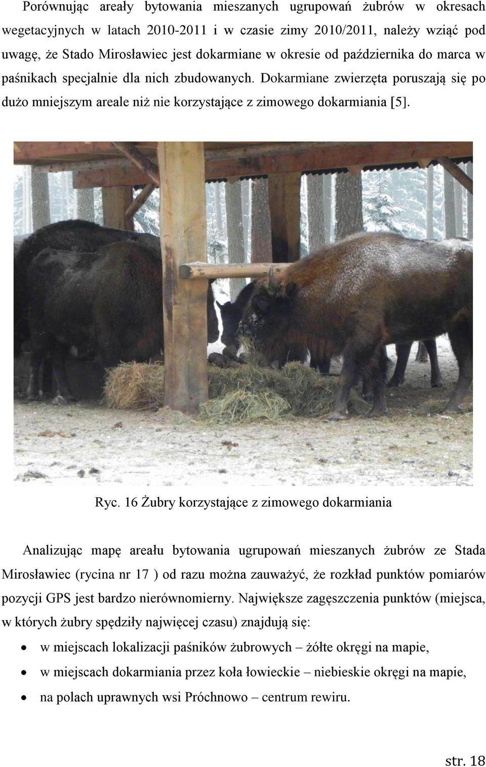 16 Żubry korzystające z zimowego dokarmiania Analizując mapę areału bytowania ugrupowań mieszanych żubrów ze Stada Mirosławiec (rycina nr 17 ) od razu można zauważyć, że rozkład punktów pomiarów