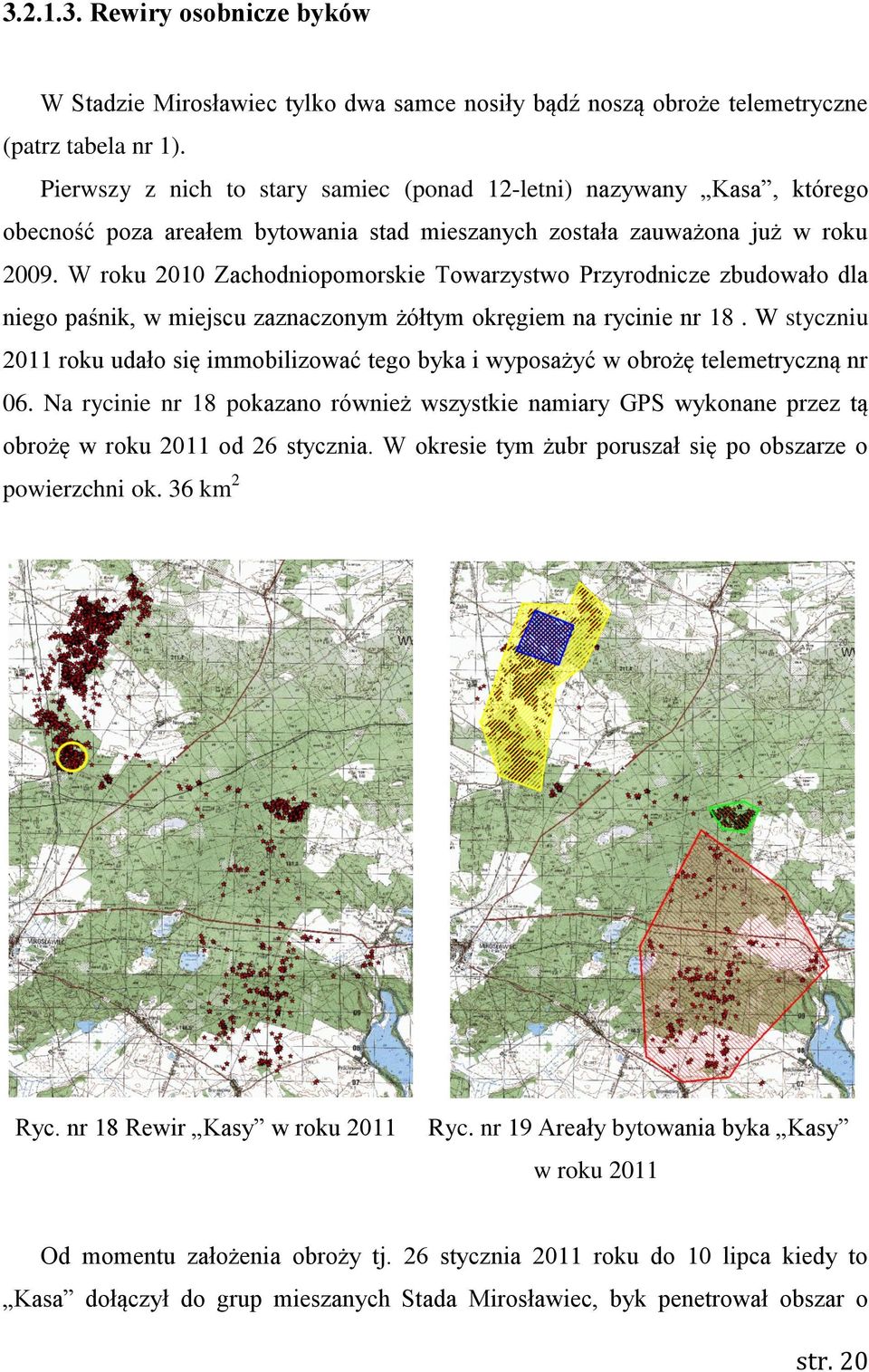 W roku 2010 Zachodniopomorskie Towarzystwo Przyrodnicze zbudowało dla niego paśnik, w miejscu zaznaczonym żółtym okręgiem na rycinie nr 18.