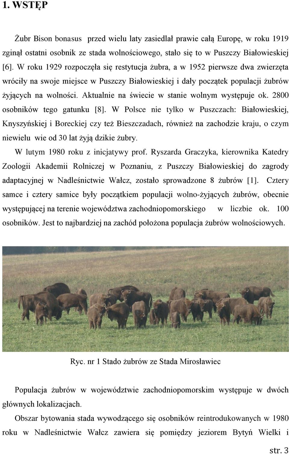Aktualnie na świecie w stanie wolnym występuje ok. 2800 osobników tego gatunku [8].