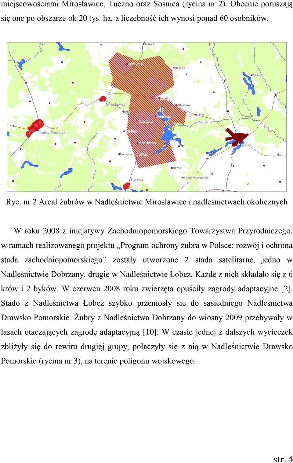 żubra w Polsce: rozwój i ochrona stada zachodniopomorskiego zostały utworzone 2 stada satelitarne, jedno w Nadleśnictwie Dobrzany, drugie w Nadleśnictwie Łobez.