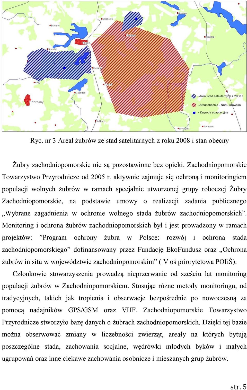 Wybrane zagadnienia w ochronie wolnego stada żubrów zachodniopomorskich.