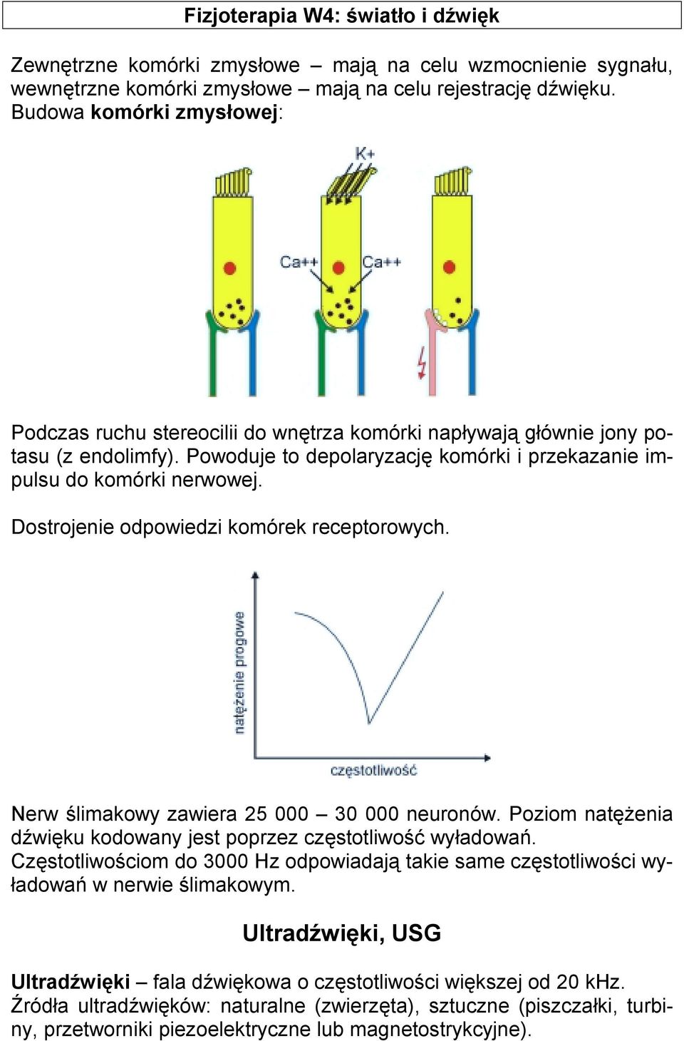 Dostrojenie odpowiedzi komórek receptorowych. Nerw ślimakowy zawiera 25 000 30 000 neuronów. Poziom natężenia dźwięku kodowany jest poprzez częstotliwość wyładowań.