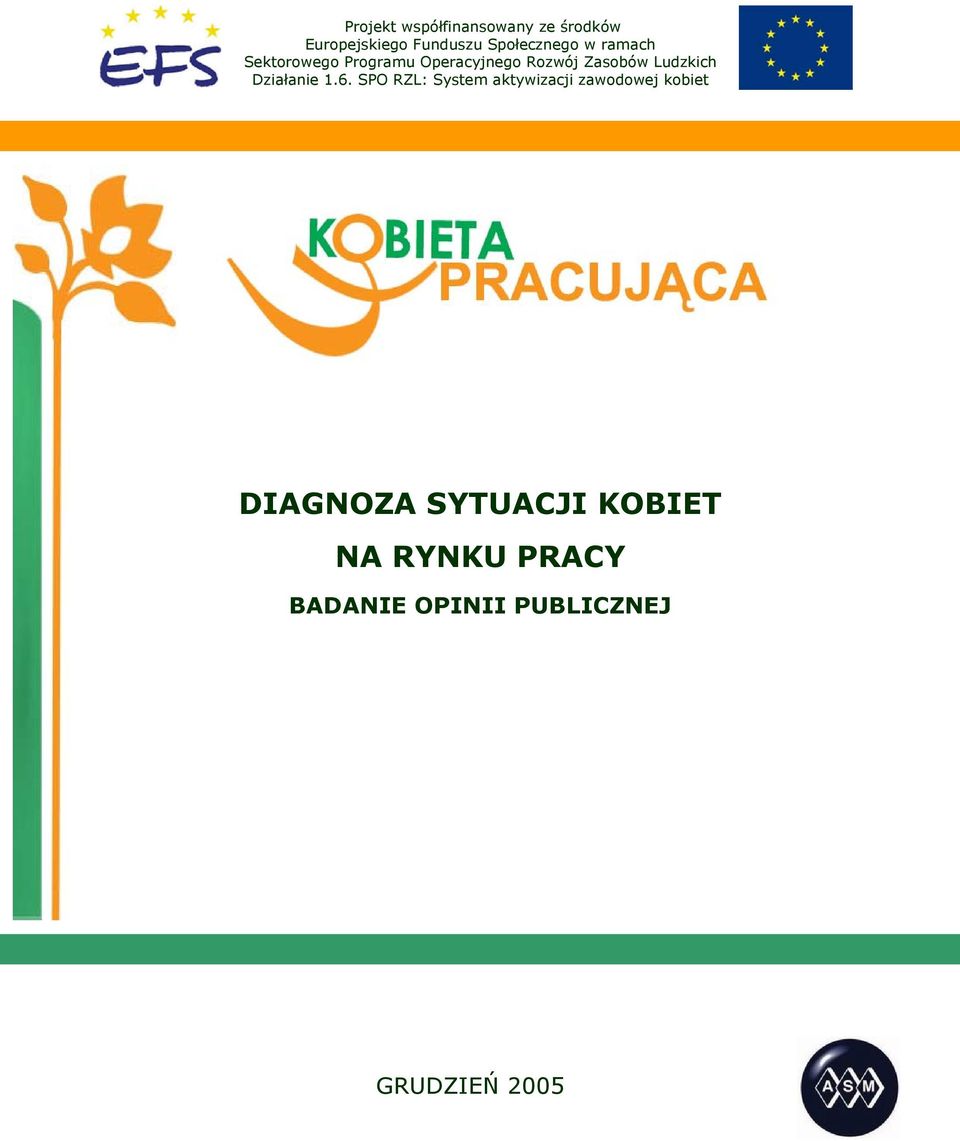 zawodowej kobiet DIAGNOZA SYTUACJI