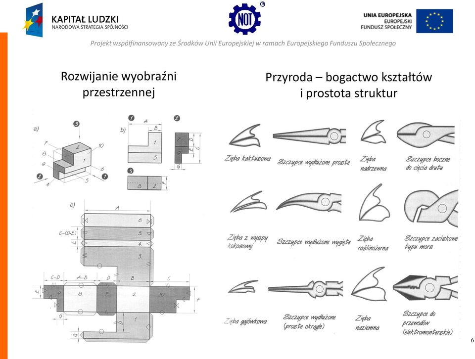 Przyroda bogactwo