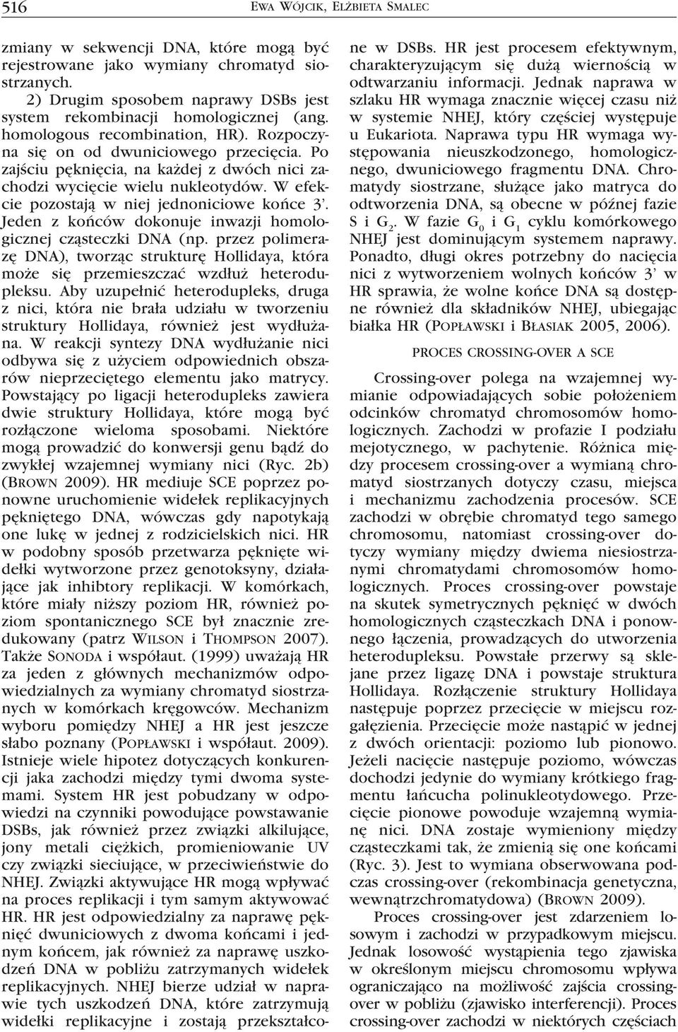 W efekcie pozostają w niej jednoniciowe końce 3. Jeden z końców dokonuje inwazji homologicznej cząsteczki DNA (np.