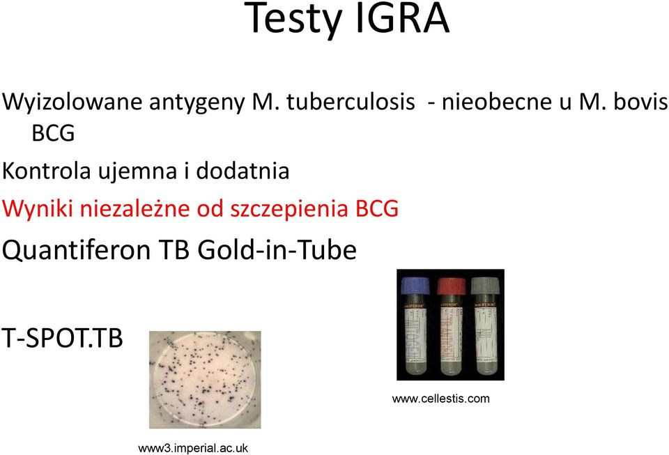 bovis BCG Kontrola ujemna i dodatnia Wyniki
