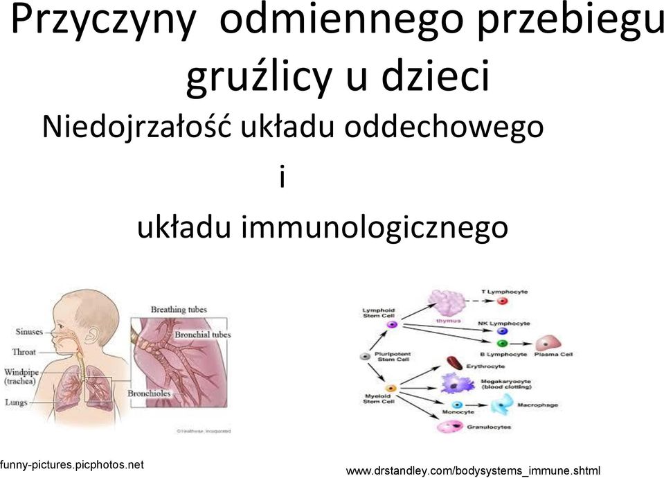 układu immunologicznego funny-pictures.