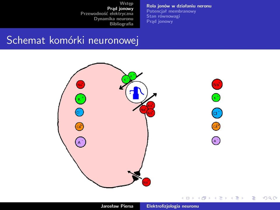 w działaniu neronu