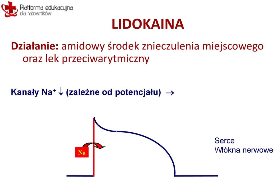 przeciwarytmiczny Kanały Na +