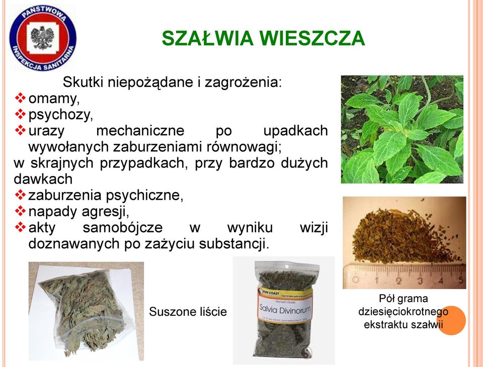 dawkach zaburzenia psychiczne, napady agresji, akty samobójcze w wyniku wizji