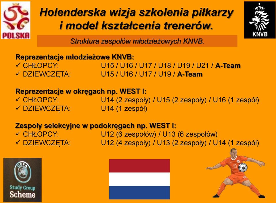 U17 / U19 / A-Team Reprezentacje w okręgach np.