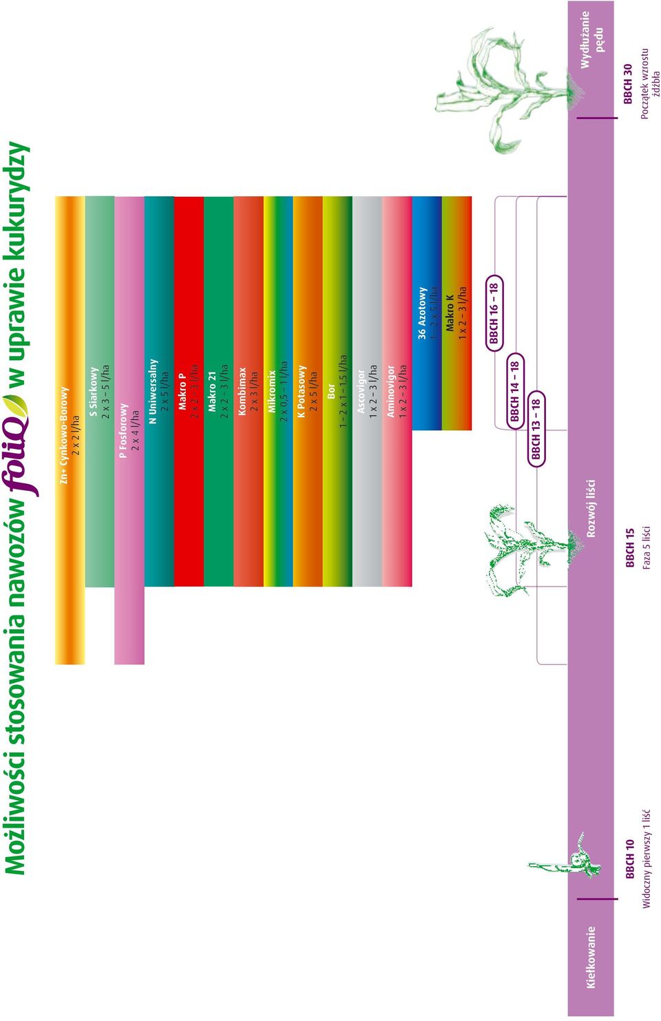 l/ha Bor 1 2 x 1 1,5 l/ha Ascovigor 1 x 2 3 l/ha Aminovigor 1 x 2 3 l/ha 36 Azotowy 1 2 x 5 l/ha Makro K 1 x 2 3 l/ha BBCH 16 18 BBCH