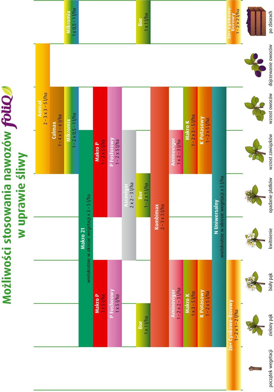 l/ha Aminovigor 1 x 5 l/ha 1 2 x 5 l/ha P Fosforowy P Fosforowy 1 2 x 5 l/ha Makro P 1 x 5 l/ha Makro P 1 x 1 l/ha Bor Makro 21 wielokrotnie w okresie wegetacji x 3 5 l/ha 1 2 x 0,5 1 l/ha